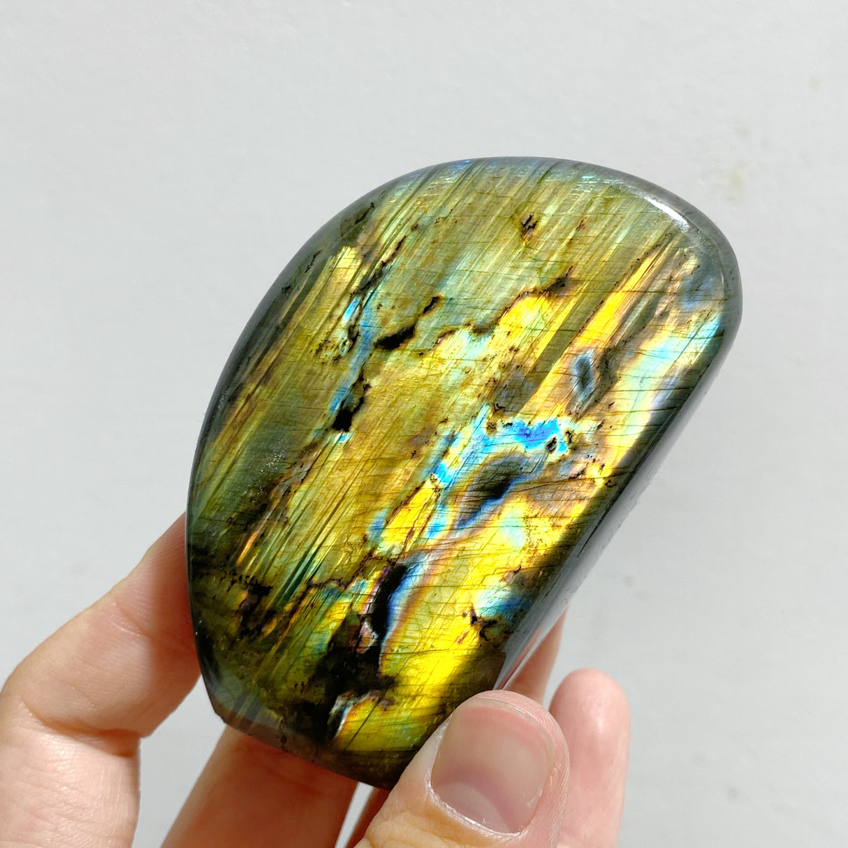 13 Pieces Polished Labradorite Free Form