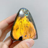 35 Pieces Polished Labradorite Free Form
