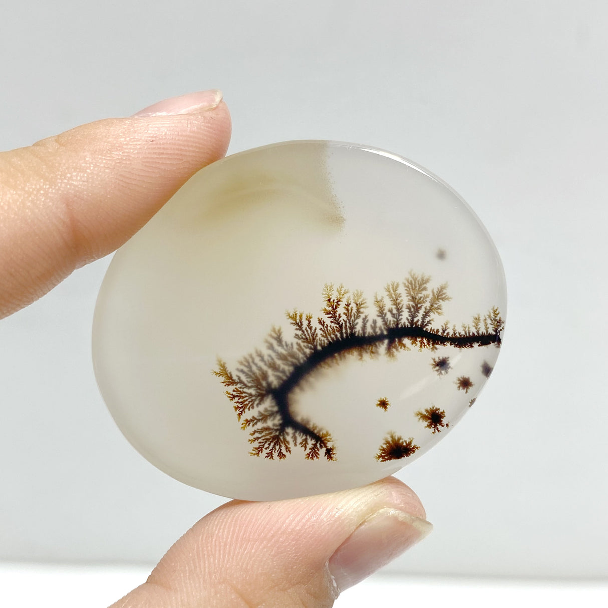 11 Pieces Natural Rare Scenic Dendritic Agate Stone