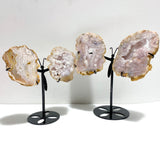 2 Pairs Geode Druzy Sakura Flower Agate Butterfly Wing With Stand