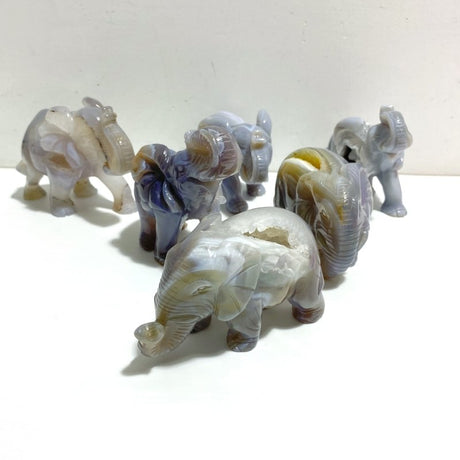 Beautiful Geode Agate Druzy Elephant Animal Carving - Wholesale Crystals
