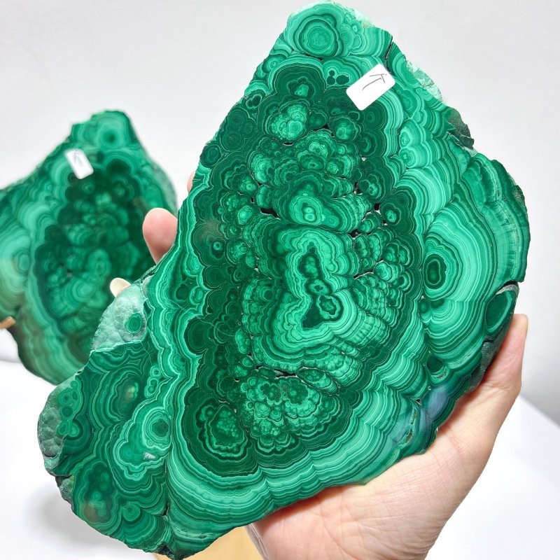 Beautiful Large Polished Malachite Raw Slab Butterfly Wing With Stand (#6) - Wholesale Crystals