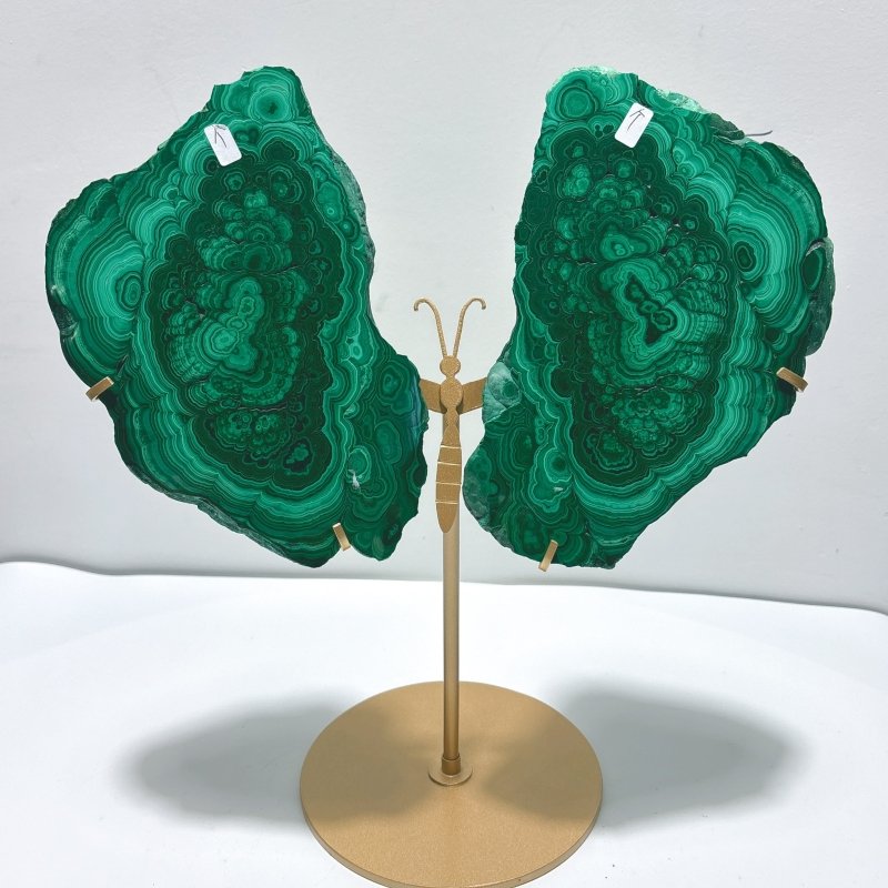 Beautiful Large Polished Malachite Raw Slab Butterfly Wing With Stand (#6) - Wholesale Crystals