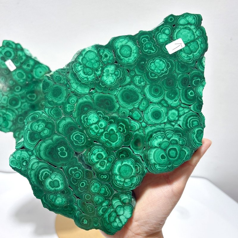 Beautiful Large Polished Malachite Raw Slab Butterfly Wing With Stand (#7) - Wholesale Crystals