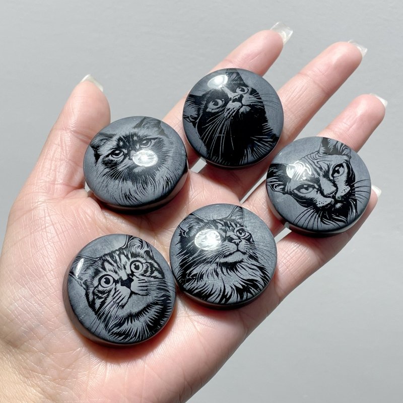 Black Obsidian Engraved Cat Round Slices DIY Accessories Wholesale - Wholesale Crystals