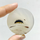11 Pieces Natural Rare Scenic Dendritic Agate Stone