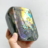 7 Pieces Large Labradorite Free Form