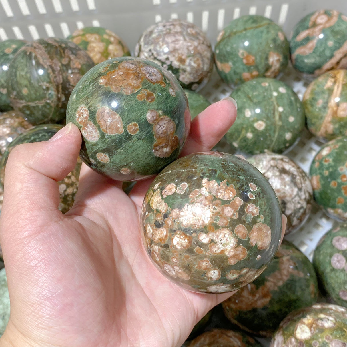 61 Pieces Rainforest Jasper Spheres (Sea Freight Only)
