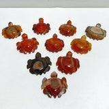 Carnelian Sea Turtle Carving Wholesale - Wholesale Crystals