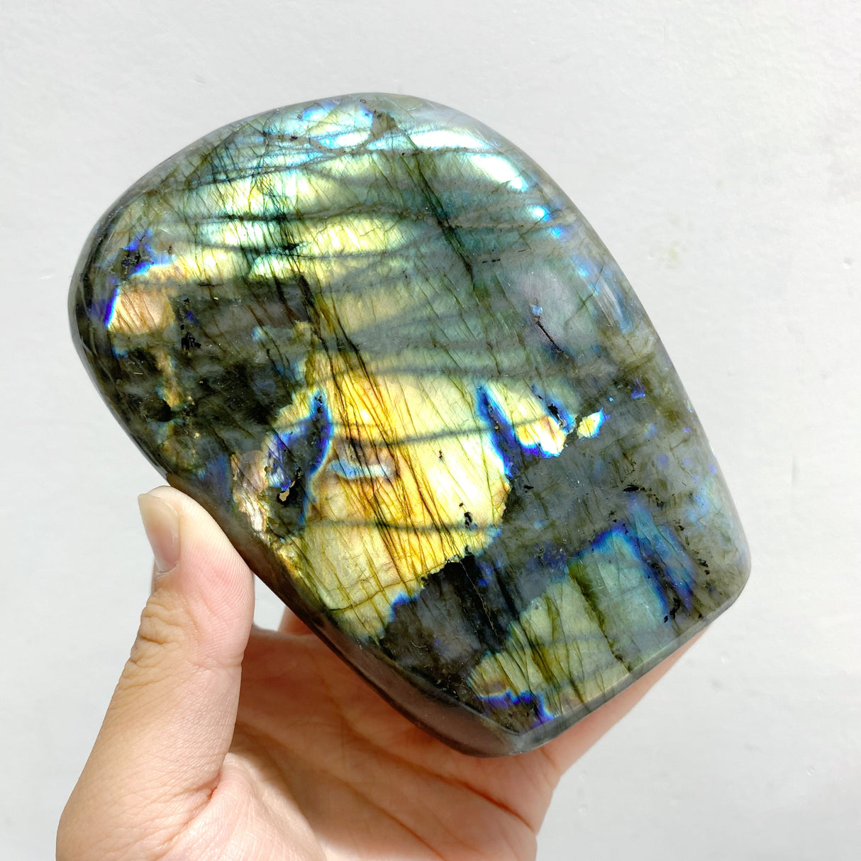 7 Pieces Large Labradorite Free Form