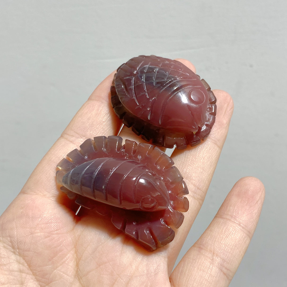 49 Pieces Africa Red Agate Sea Animals Carving