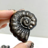 Silver Sheen Obsidian Conch Carving Wholesale
