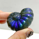 Labradorite Conch Carving Wholesale