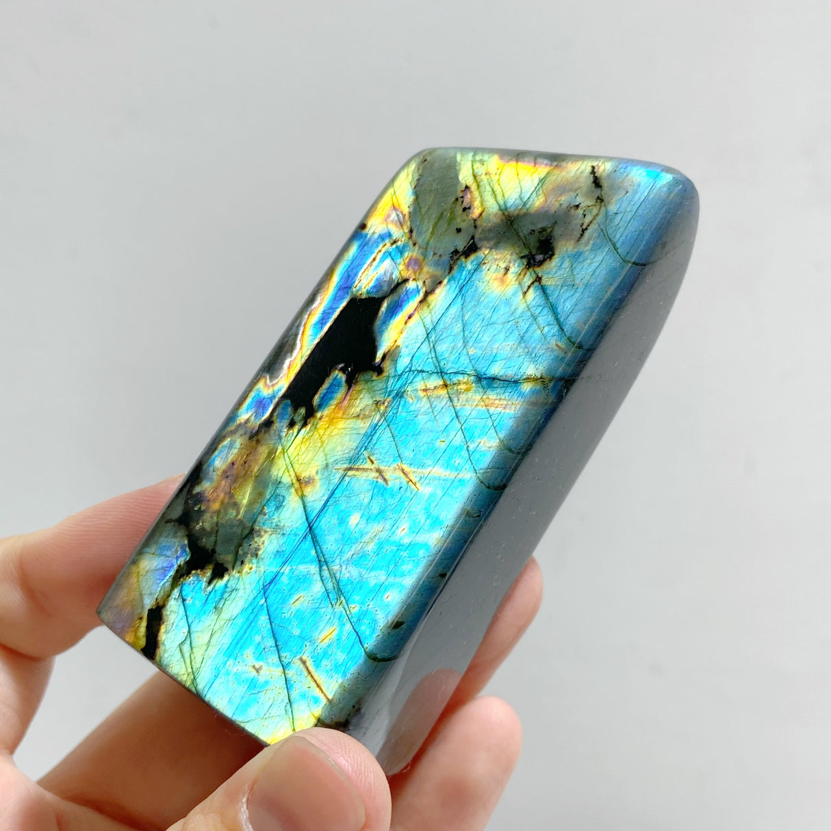 13 Pieces Beautiful Polished Yellow Blue Labradorite Free Form