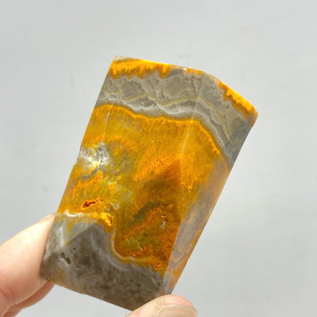 Bumble Bee Jasper Free Form Wholesale