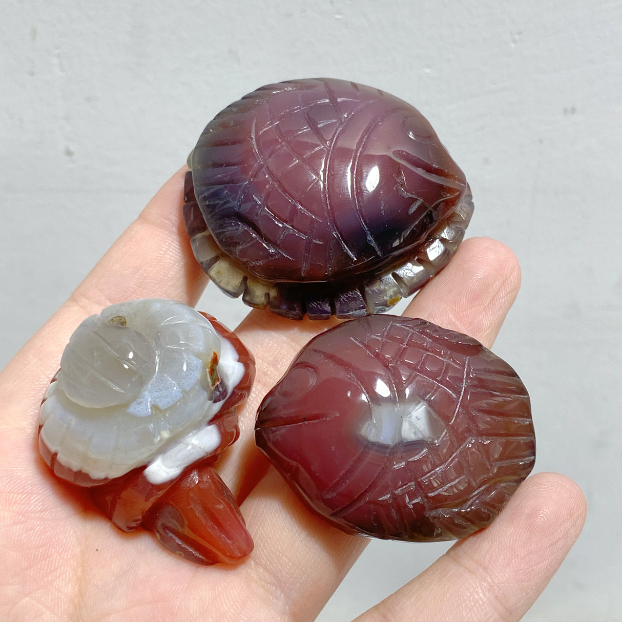 49 Pieces Africa Red Agate Sea Animals Carving