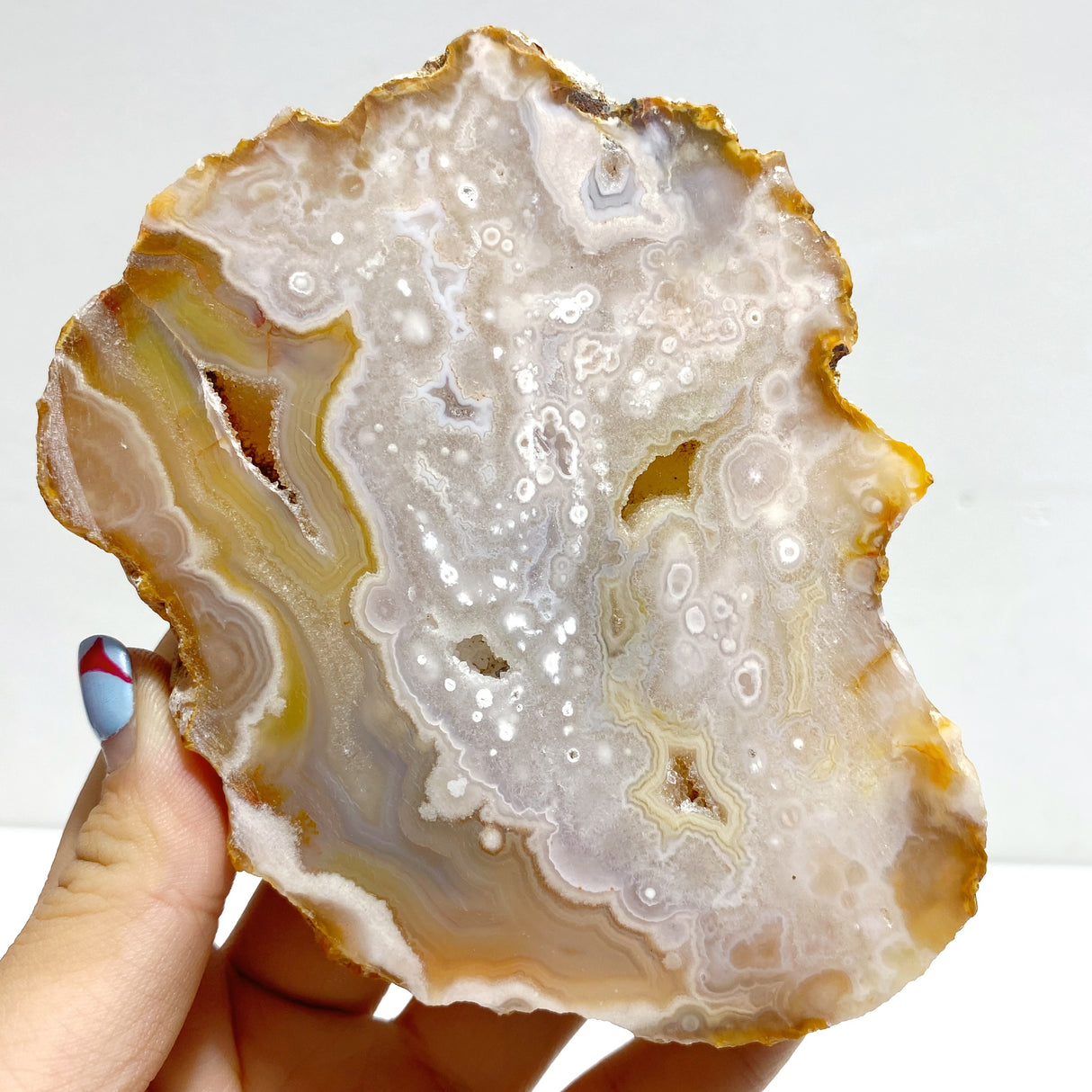 2 Pairs Geode Druzy Sakura Flower Agate Butterfly Wing With Stand