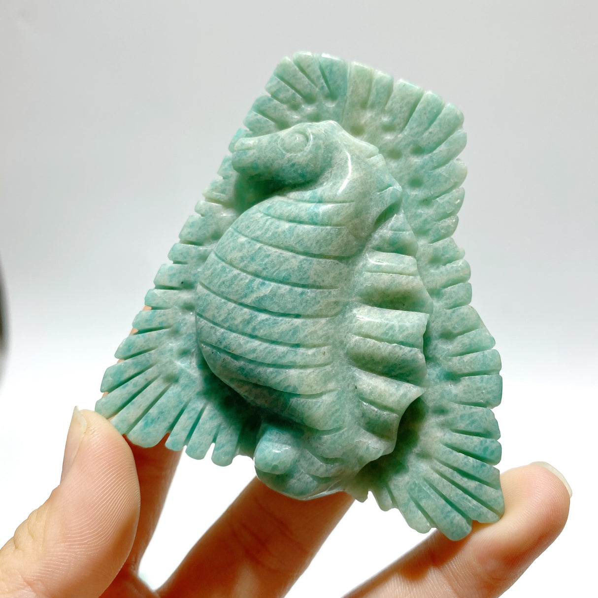 16 Pieces Amazonite Sea Animal Carving