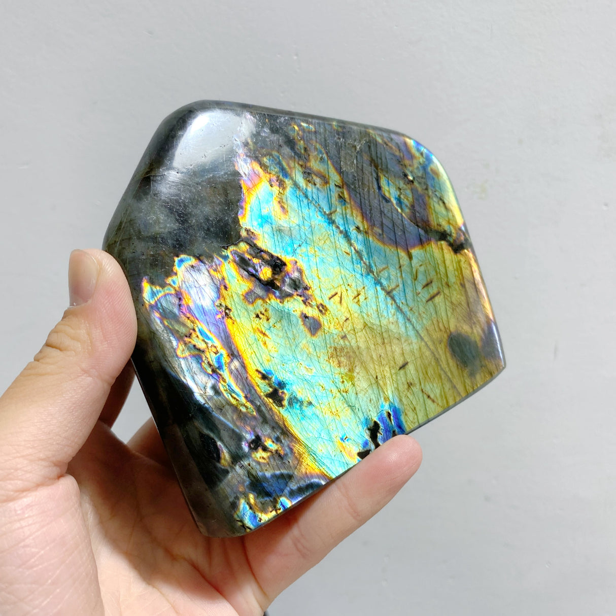 7 Pieces Large Labradorite Free Form