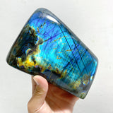 7 Pieces Large Labradorite Free Form