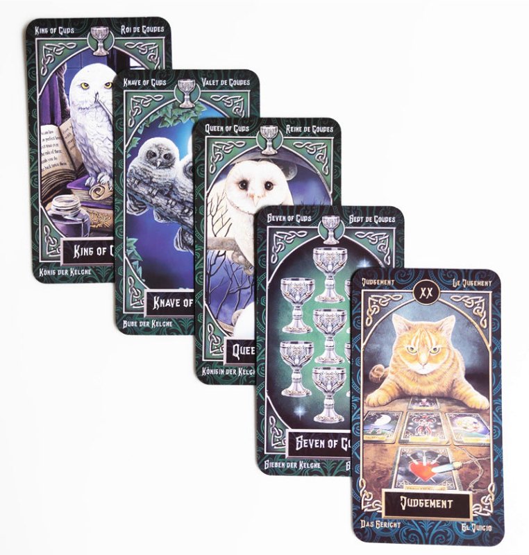 Familiars Tarot Cards - Wholesale Crystals