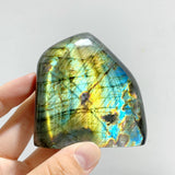 13 Pieces Beautiful Polished Yellow Blue Labradorite Free Form
