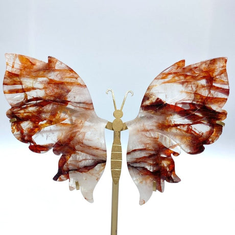 Fire Quartz Butterfly Wing Carving With Stand - Wholesale Crystals