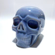 Large Geode Druzy Agate Skull - Wholesale Crystals