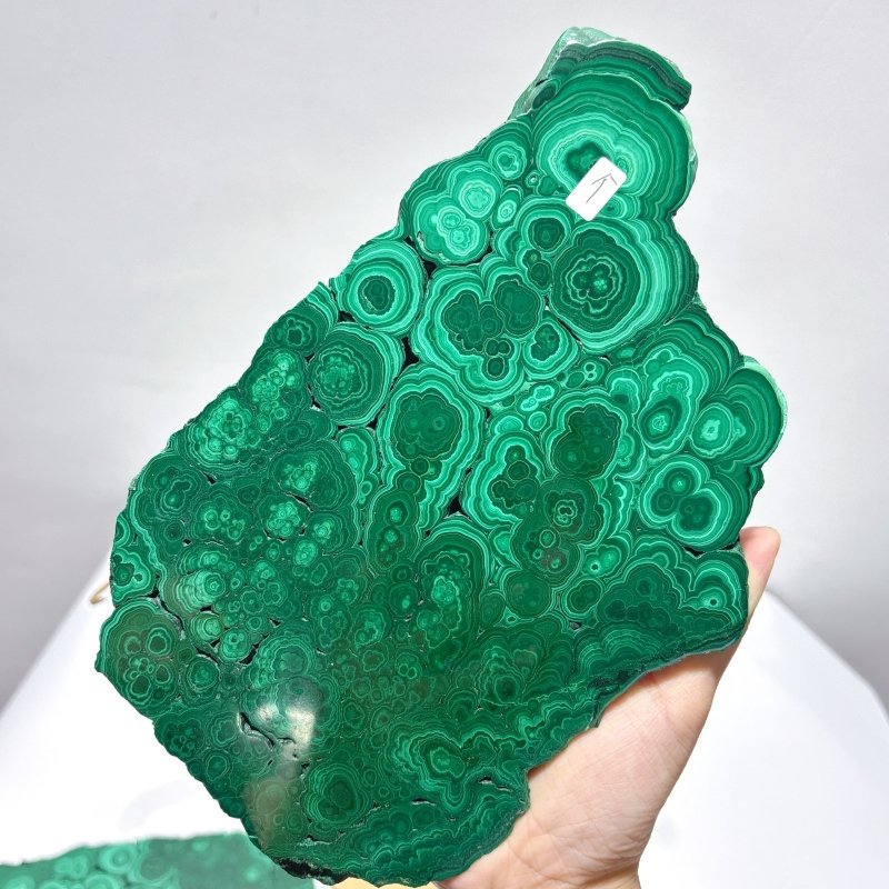 Large Polished Malachite Raw Slab Butterfly Wing With Stand (#2) - Wholesale Crystals