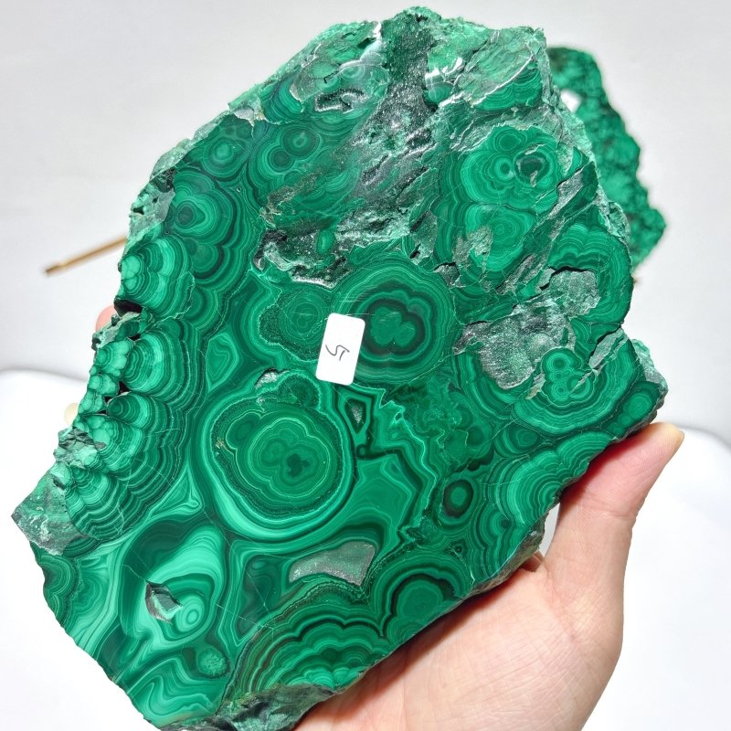 Large Polished Malachite Raw Slab Butterfly Wing With Stand (#4) - Wholesale Crystals