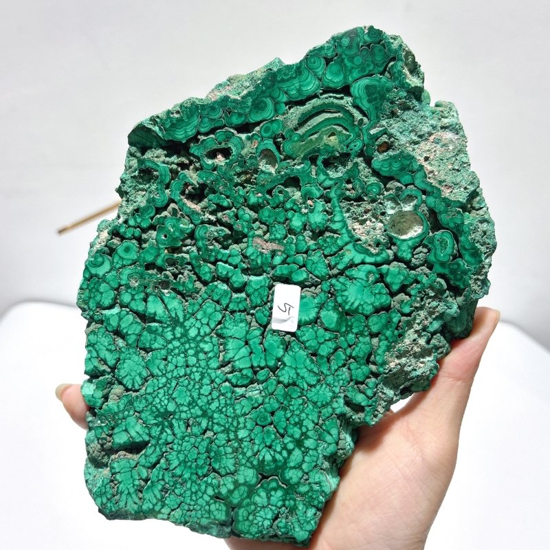 Large Polished Malachite Raw Slab Butterfly Wing With Stand (#4) - Wholesale Crystals