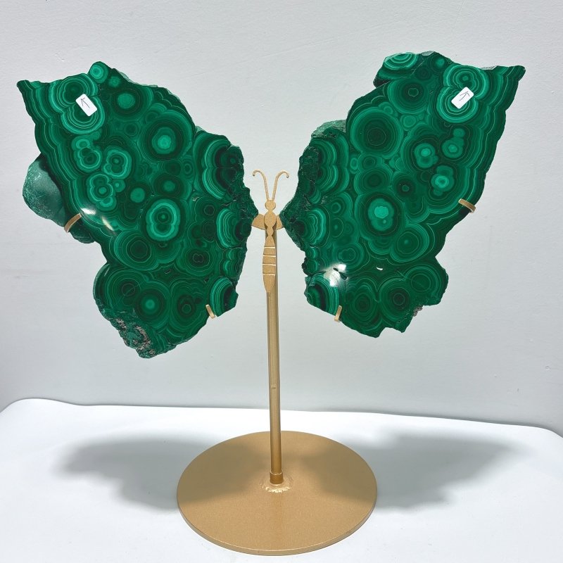 Large Polished Malachite Raw Slab Butterfly Wing With Stand（#8） - Wholesale Crystals