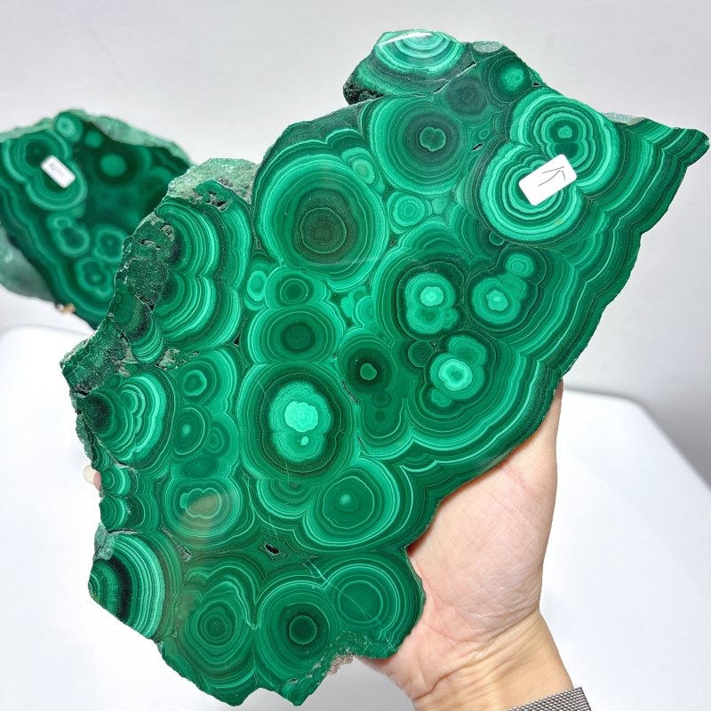 Large Polished Malachite Raw Slab Butterfly Wing With Stand（#8） - Wholesale Crystals