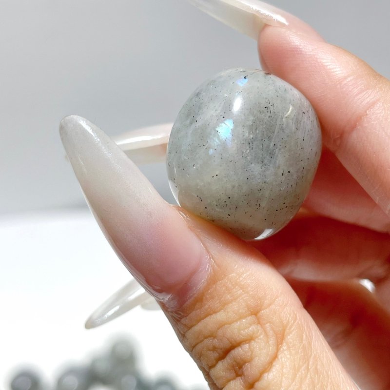 Light Color Labradorite Tumbled Wholesale - Wholesale Crystals