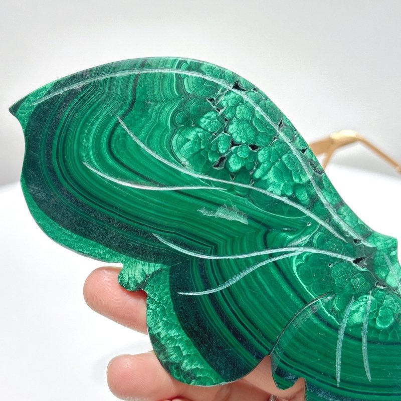 Malachite Butterfly Wing Crystal Carving With Stand - Wholesale Crystals