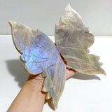 Moonstone Butterfly Wing Carving With Stand -Wholesale Crystals