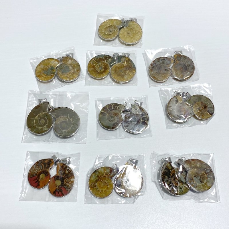 Natural Ammonite Fossil Conch Pendants Wholesale - Wholesale Crystals