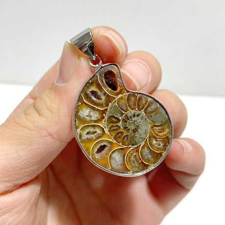 Natural Ammonite Fossil Conch Pendants Wholesale - Wholesale Crystals