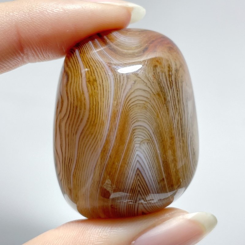 Natural Silk Agate Palm Stone Free Form Wholesale - Wholesale Crystals