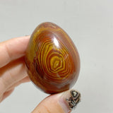 Petrified Wood Stone Egg Wholesale -Wholesale Crystals