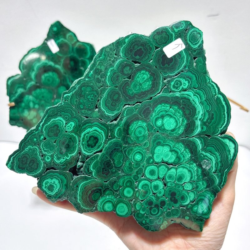 Polished Malachite Raw Slab Butterfly Wing With Stand (#9) - Wholesale Crystals