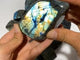 14 Pieces Labradorite High Quality Polished Large Free Form