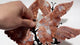 4 Pairs Pink Agate Butterfly Wing Carving With Stand