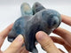 4 Pieces Trolleite Stone Bear Carving
