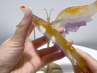 Agate Mixed Amethyst Butterfly Wing Carving With Stand