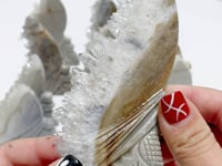 12 Pieces Clear Quartz Cluster Mermaid Carving