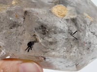 A56 Black Quicksand Large Moving Bubble Enhydro Quartz For Collection