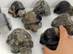 9 Pieces Volcano Agate Turtle Carving(UV-Reactive)
