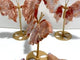 4 Pairs Pink Agate Butterfly Wing Carving With Stand