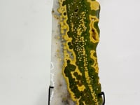Large 8th Vein Ocean Jasper Slab With Stand #10